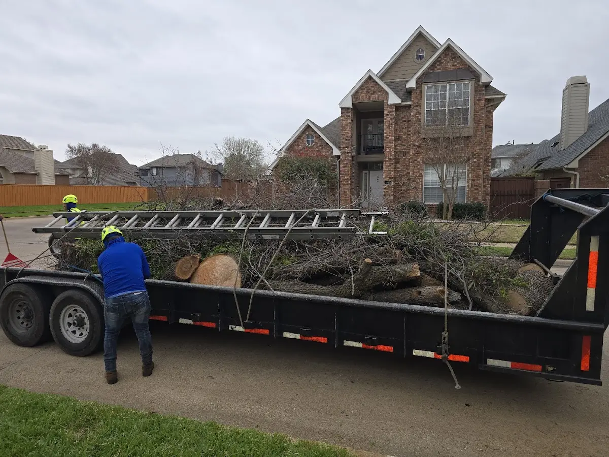 Expert Tree Removal with proper safety equipment in Montross
